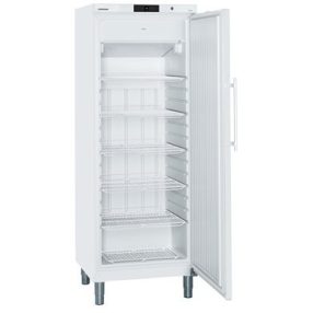 GGv 5810 ProfiLine | LIEBHERR Mélyhűtő szekrény