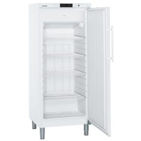 GGv 5010 ProfiLine | LIEBHERR Mélyhűtő szekrény